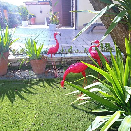 Casa Giardino Apartment San Benedetto del Tronto Luaran gambar