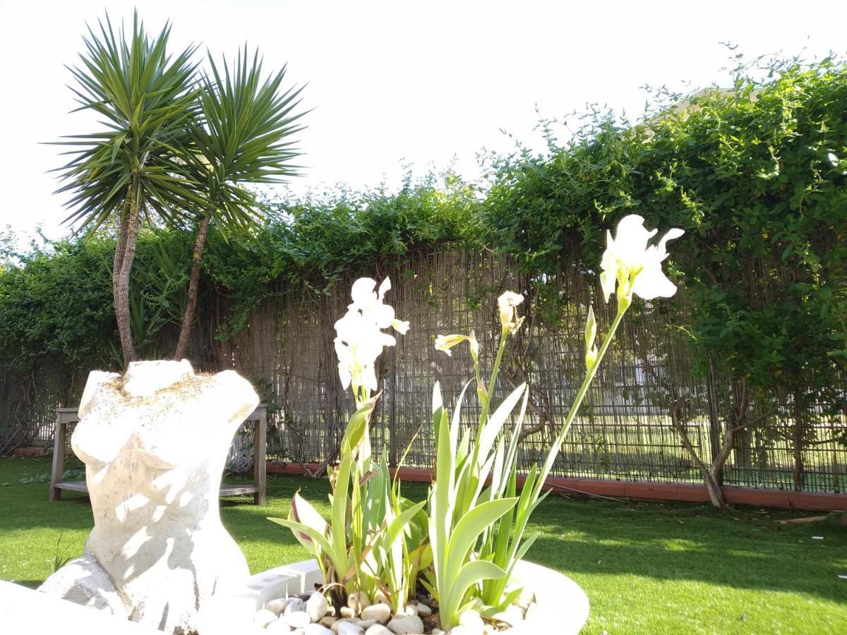 Casa Giardino Apartment San Benedetto del Tronto Luaran gambar