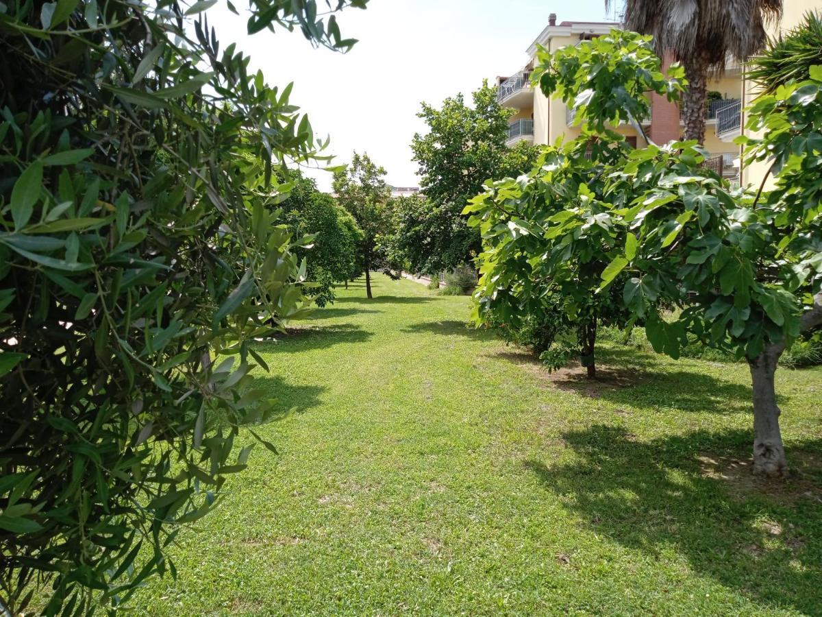 Casa Giardino Apartment San Benedetto del Tronto Luaran gambar