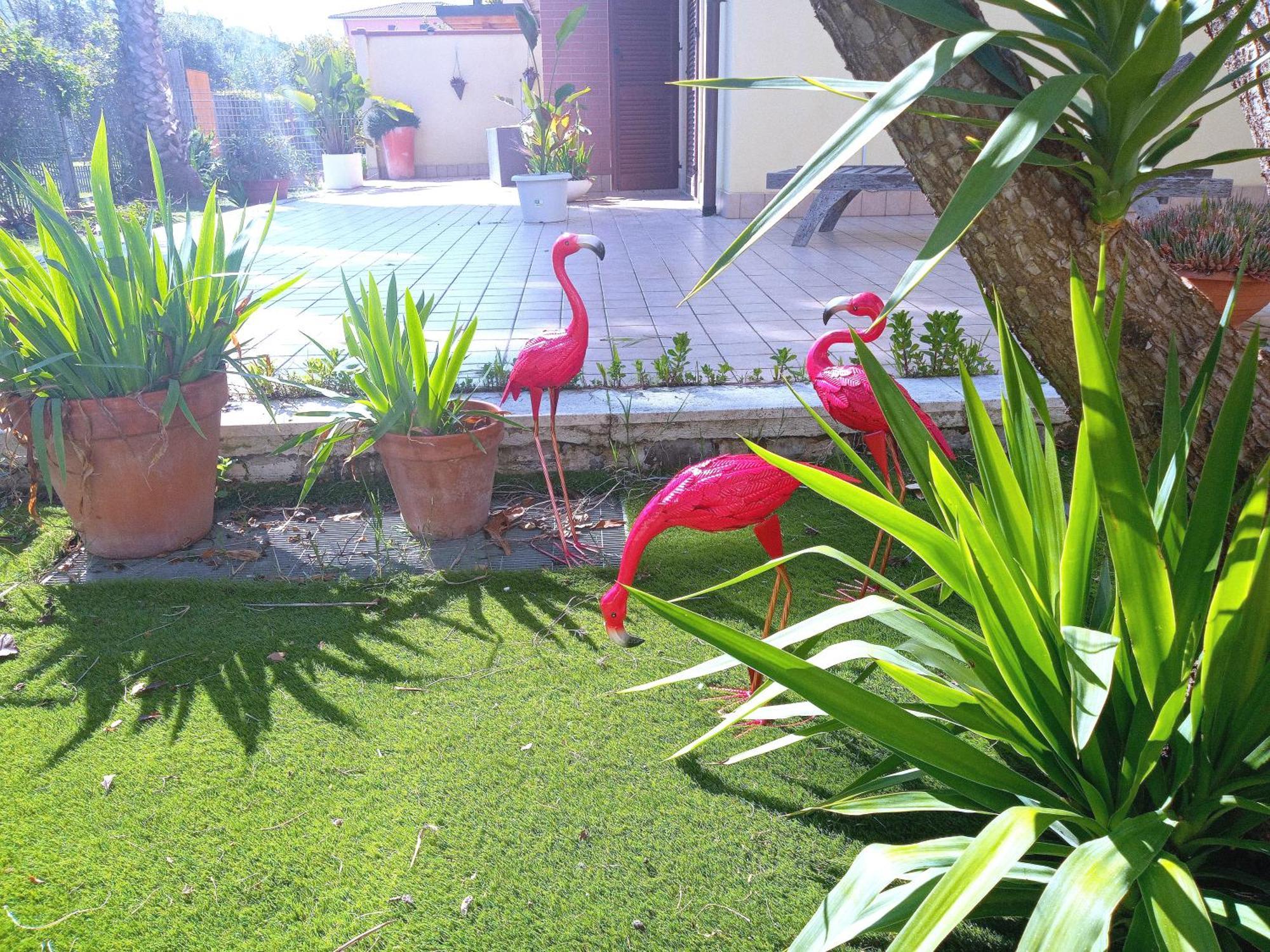 Casa Giardino Apartment San Benedetto del Tronto Luaran gambar
